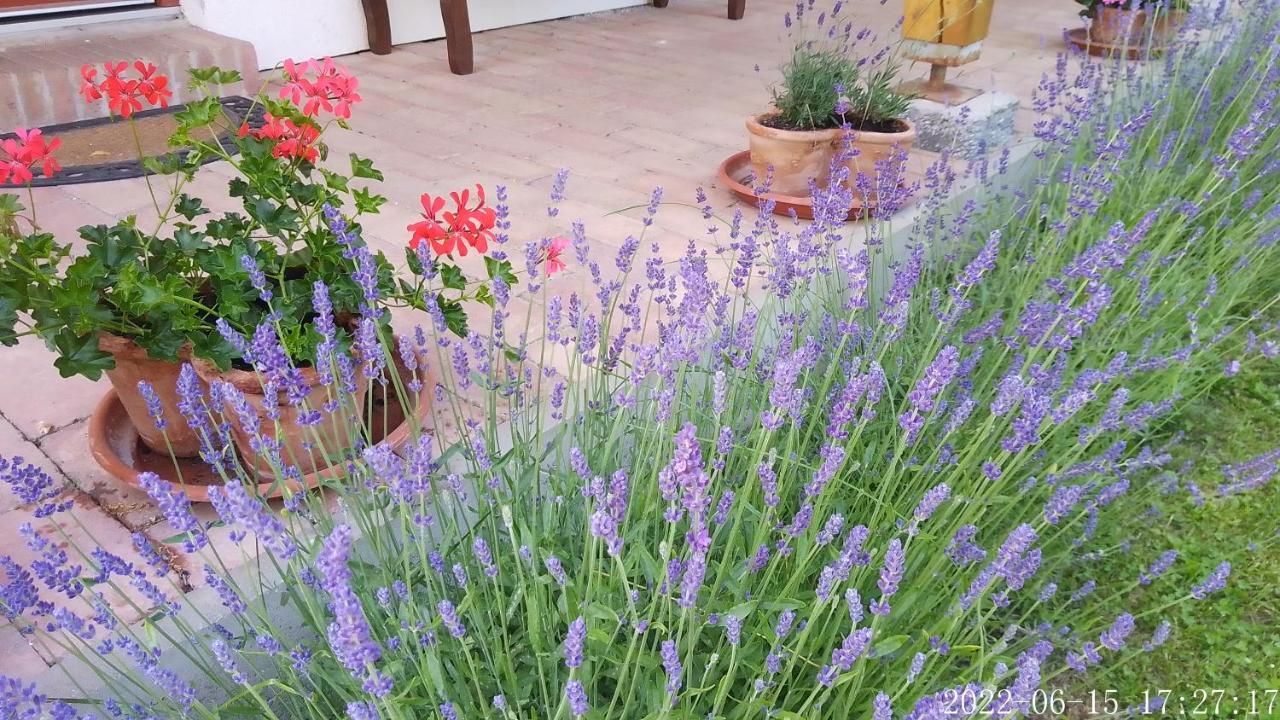 Almafas Vendeghaz Orseg Villa Kerkakutas Dış mekan fotoğraf