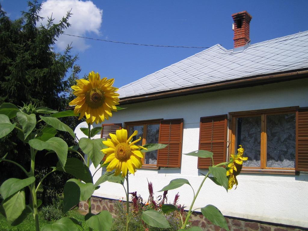Almafas Vendeghaz Orseg Villa Kerkakutas Dış mekan fotoğraf