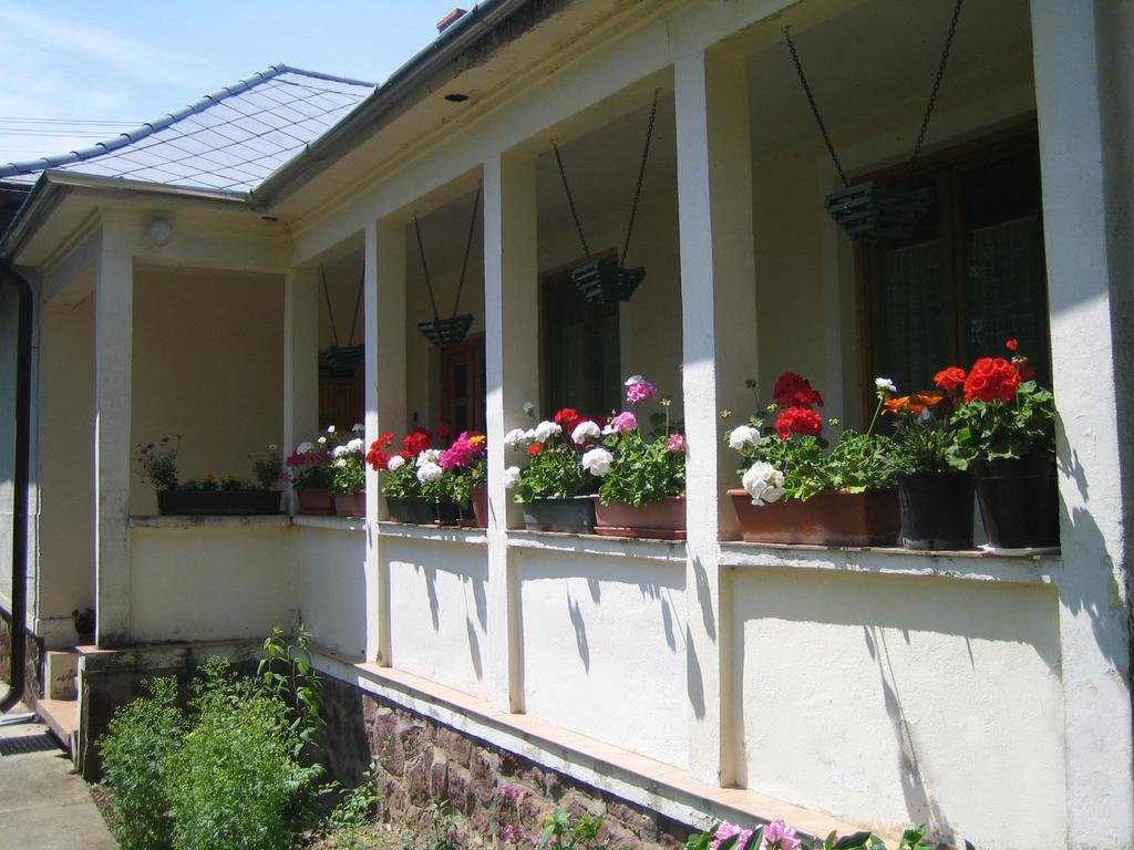 Almafas Vendeghaz Orseg Villa Kerkakutas Dış mekan fotoğraf